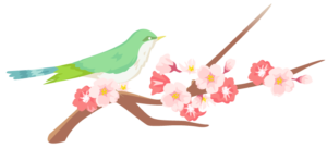 うぐいす