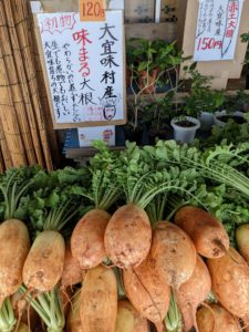 沖縄写真96