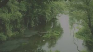 logo背景