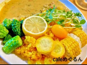 oganic curry3